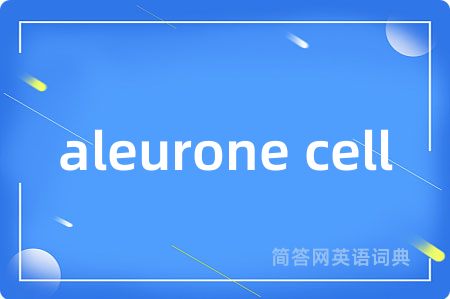 aleurone cell是什么意思,aleurone cell的中文翻译 aleurone cell
