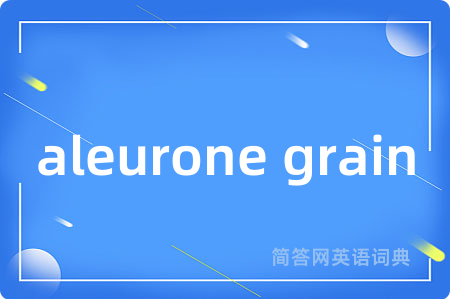 aleurone grain是什么意思,aleurone grain的中文翻译 aleurone grain
