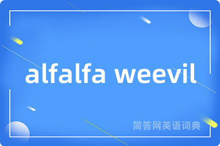 alfalfa weevil