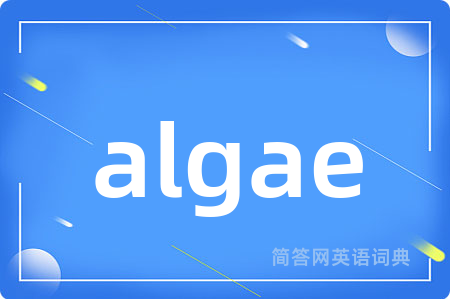 algae