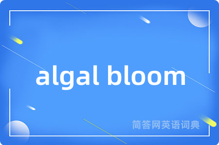 algal bloom