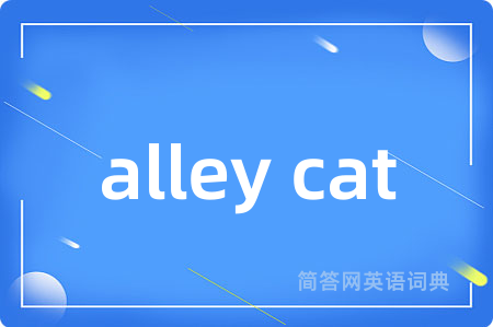 alley cat