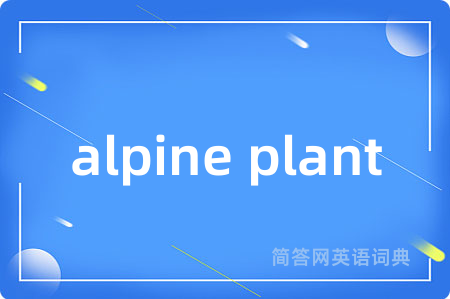 alpine plant