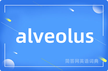 alveolus是什么意思,alveolus的中文翻译 alveolus