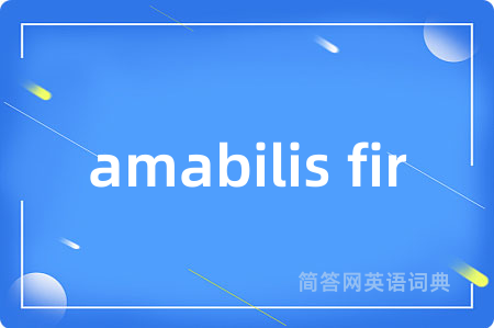 amabilis fir