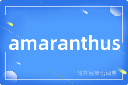 amaranthus