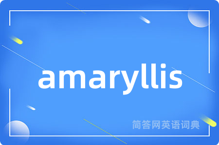 amaryllis
