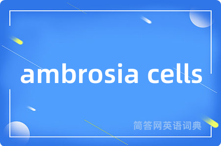 ambrosia cells是什么意思,ambrosia cells的中文翻译 ambrosia cells