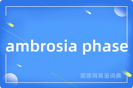 ambrosia phase是什么意思,ambrosia phase的中文翻译 ambrosia phase