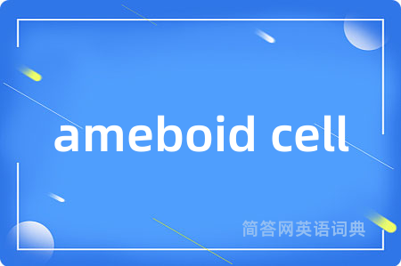 ameboid cell