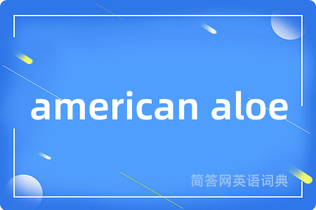 american aloe