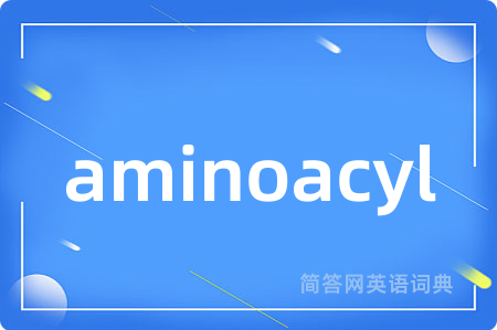 aminoacyl是什么意思,aminoacyl的中文翻译 aminoacyl