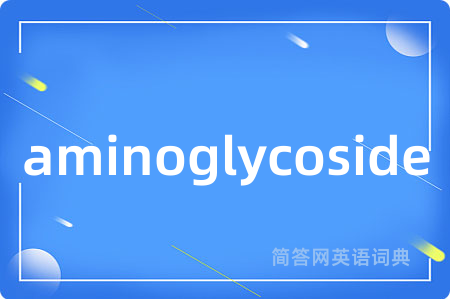 aminoglycoside
