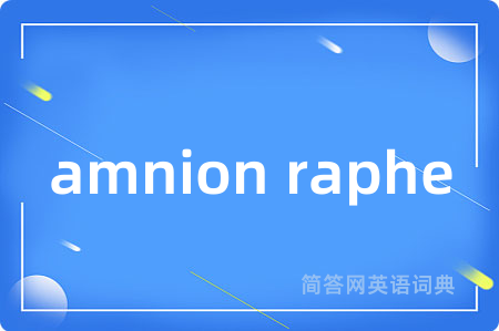 amnion raphe