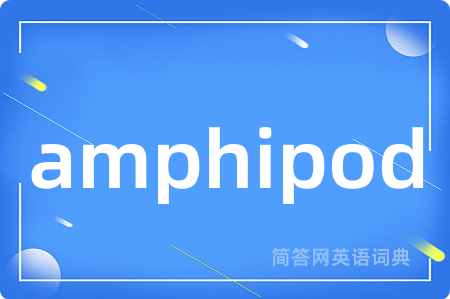 amphipod