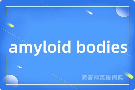 amyloid bodies