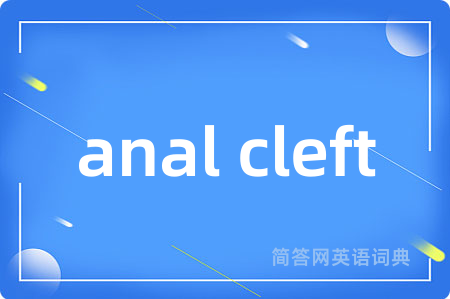 anal cleft是什么意思,anal cleft的中文翻译 anal cleft