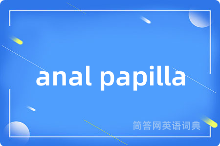 anal papilla