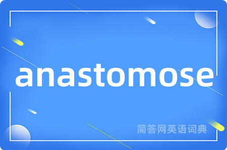anastomose