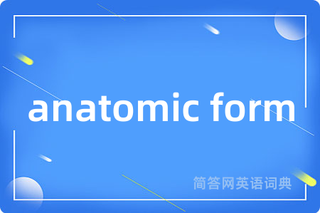 anatomic form
