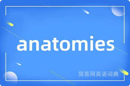 anatomies