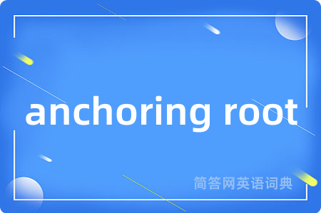 anchoring root