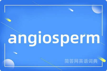 angiosperm