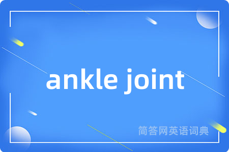 ankle joint