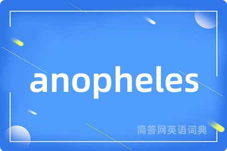 anopheles