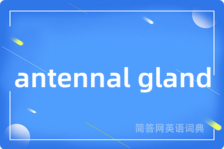 antennal gland