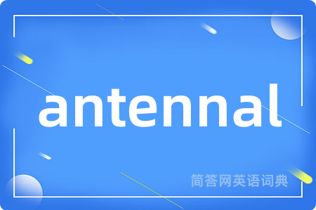 antennal