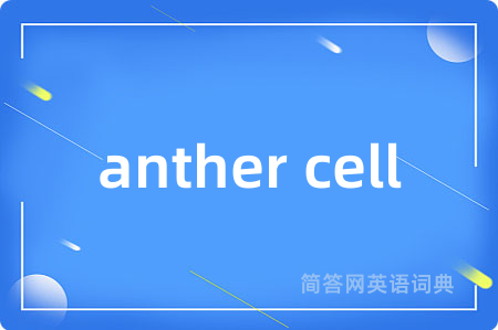 anther cell