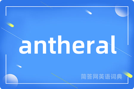 antheral是什么意思,antheral的中文翻译 antheral