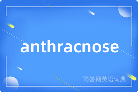anthracnose