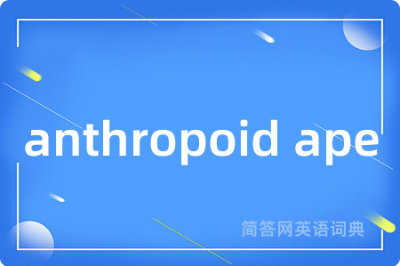 anthropoid ape是什么意思,anthropoid ape的中文翻译 anthropoid ape
