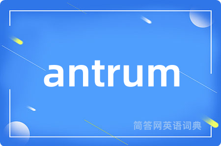 antrum