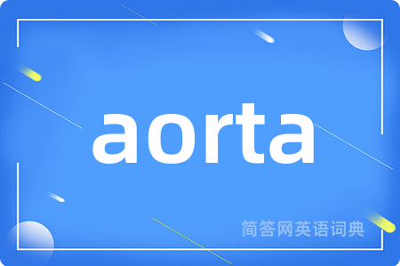 aorta