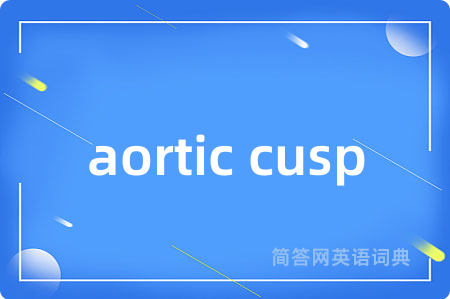 aortic cusp是什么意思,aortic cusp的中文翻译 aortic cusp