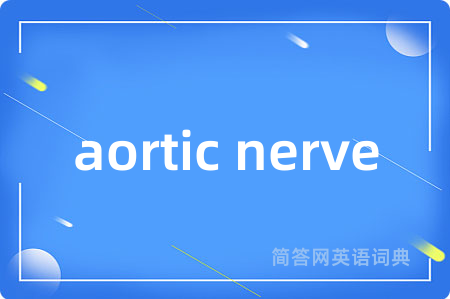 aortic nerve