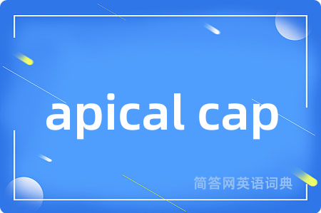 apical cap