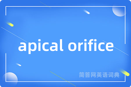 apical orifice