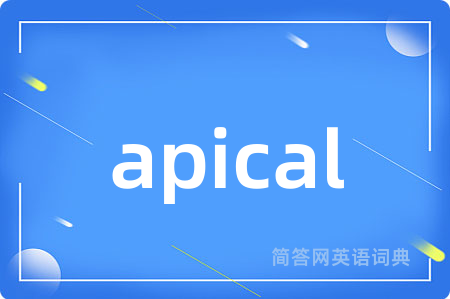 apical