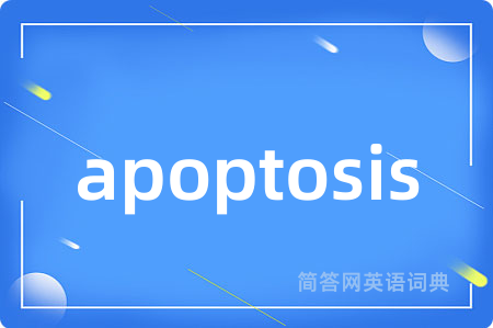 apoptosis是什么意思,apoptosis的中文翻译 apoptosis