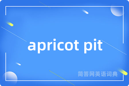 apricot pit是什么意思,apricot pit的中文翻译 apricot pit