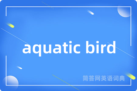 aquatic bird