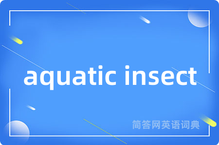 aquatic insect