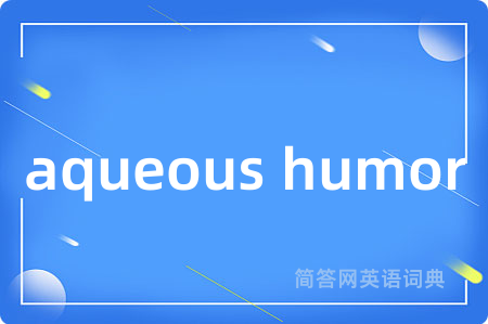 aqueous humor