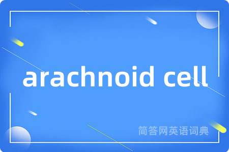 arachnoid cell是什么意思,arachnoid cell的中文翻译 arachnoid cell
