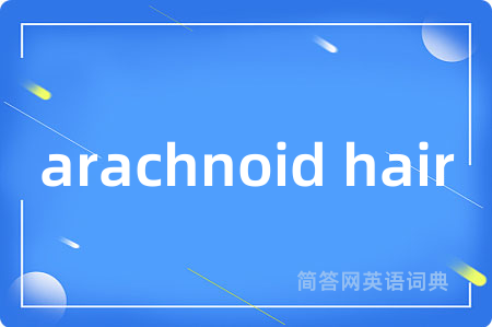 arachnoid hair