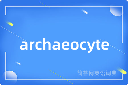 archaeocyte